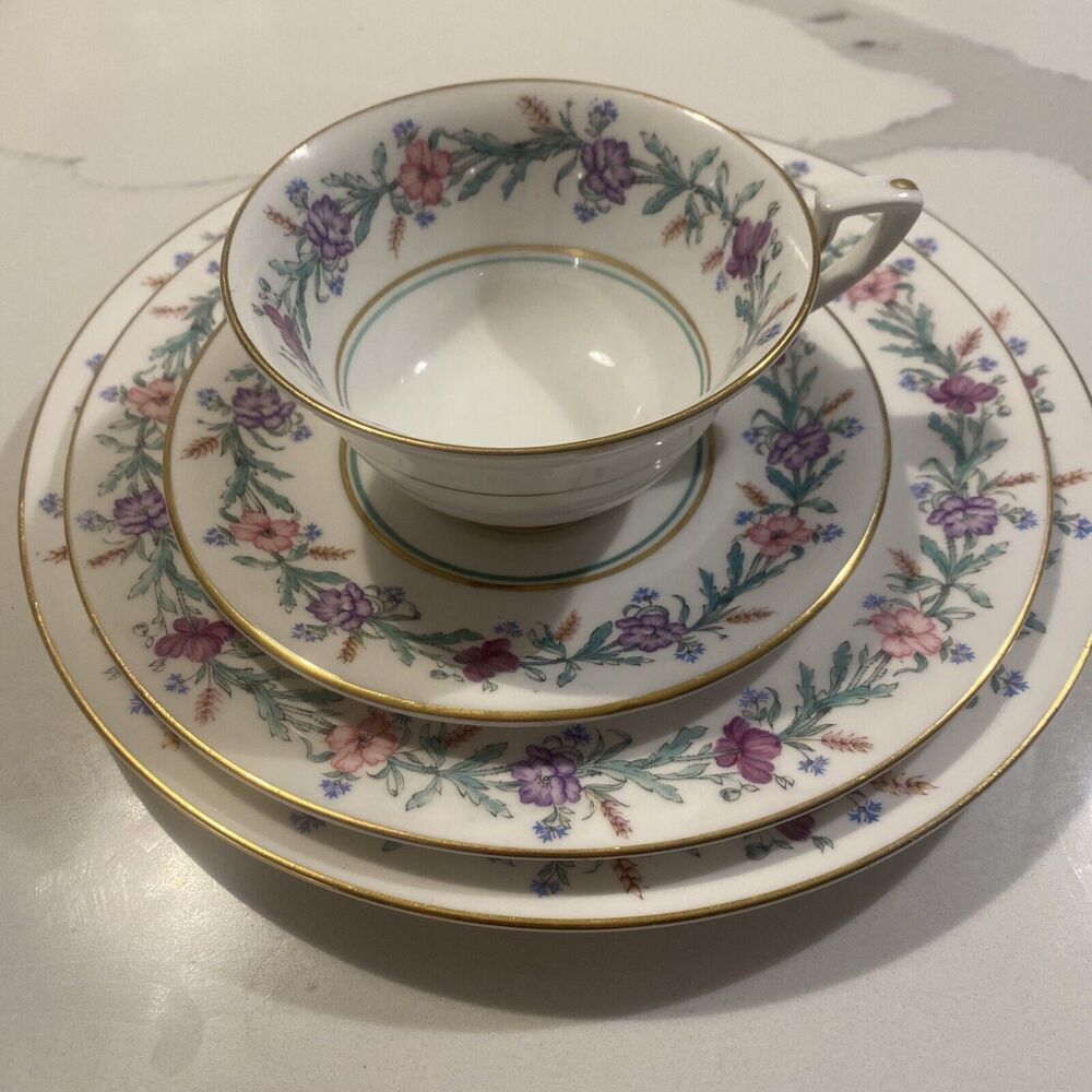 Royal Worcester Elysian Place Setting Dinner, Dessert Saucer & Teacup Bone China